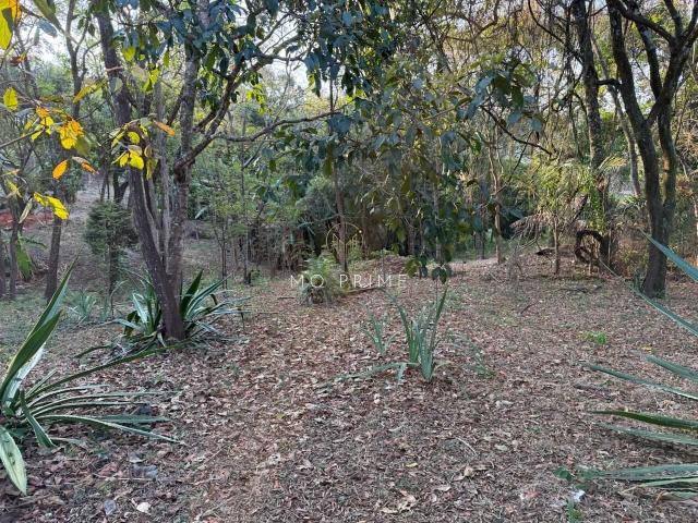 Terreno em Condomínio para Venda em Esmeraldas/MG Ipê Amarelo