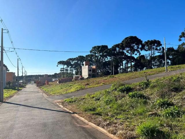 Terreno em Condomínio para Venda em Fazenda Rio Grande/PR Gralha Azul