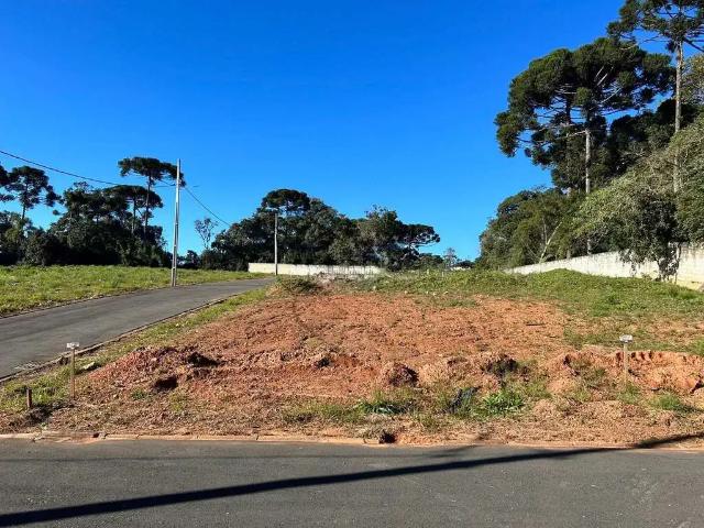 Terreno em Condomínio para Venda em Fazenda Rio Grande/PR Gralha Azul