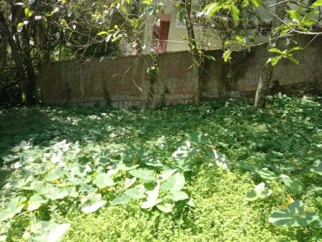 Terreno em Condomínio para Venda em Florianópolis/SC Córrego Grande 1 Quartos