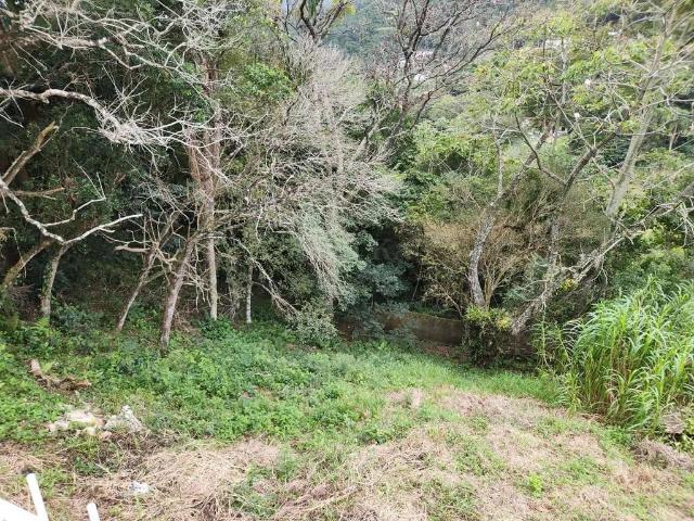 Terreno em Condomínio para Venda em Florianópolis/SC Córrego Grande