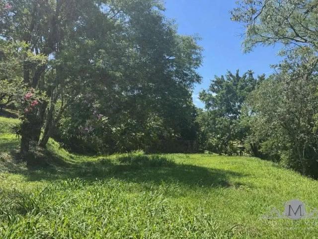 Terreno em Condomínio para Venda em Florianópolis/SC Córrego Grande