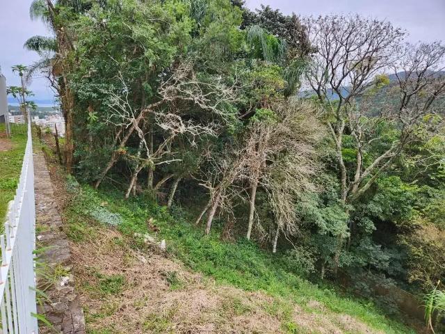 Terreno em Condomínio para Venda em Florianópolis/SC Córrego Grande