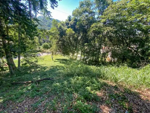 Terreno em Condomínio para Venda em Florianópolis/SC Córrego Grande
