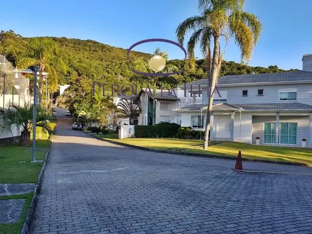 Terreno em Condomínio para Venda em Florianópolis/SC Córrego Grande