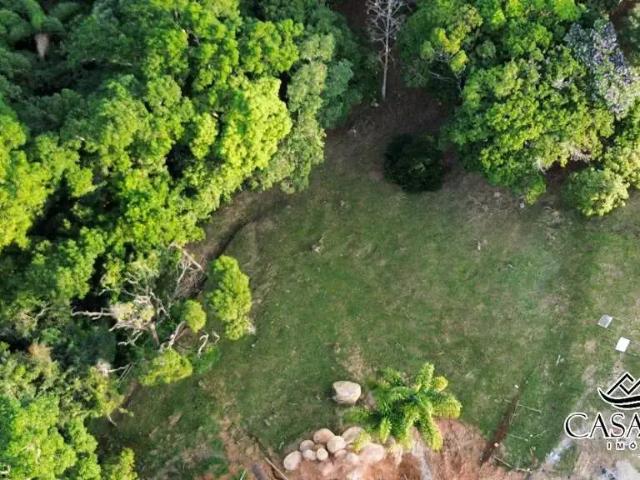 Terreno em Condomínio para Venda em Florianópolis/SC Cacupé