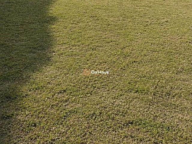 Terreno em Condomínio para Venda em Florianópolis/SC Armação do Pântano do Sul