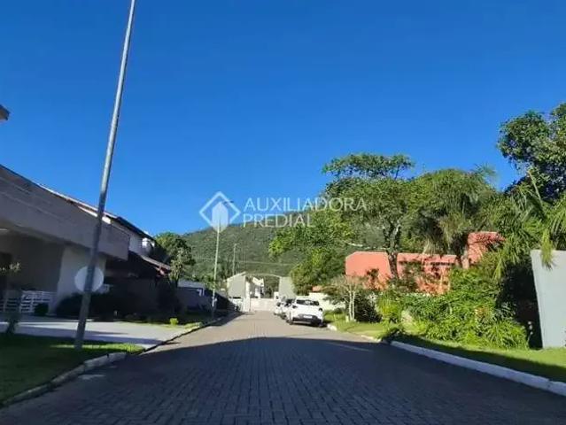 Terreno em Condomínio para Venda em Florianópolis/SC Morro das Pedras