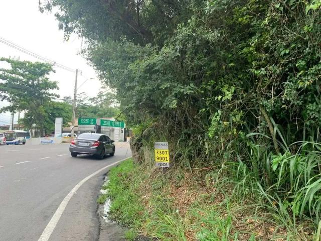 Terreno em Condomínio para Venda em Florianópolis/SC Morro das Pedras