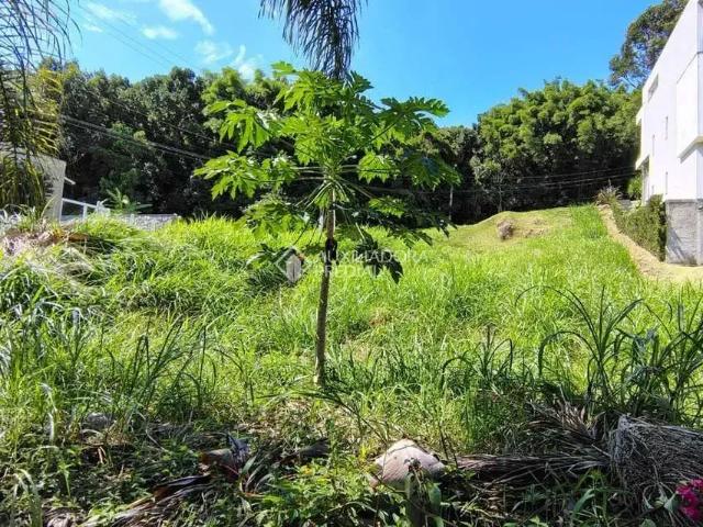 Terreno em Condomínio para Venda em Florianópolis/SC Santo Antônio de Lisboa