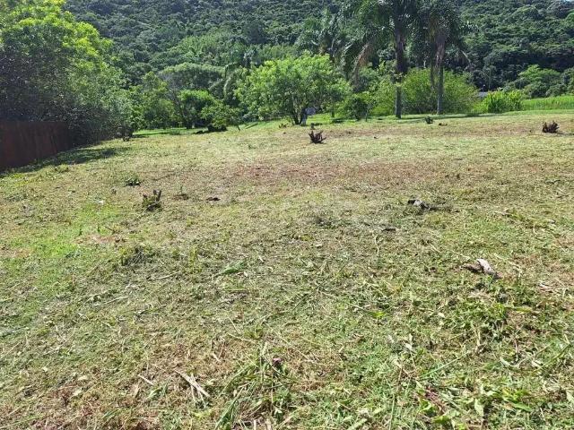 Terreno em Condomínio para Venda em Florianópolis/SC Pântano do Sul