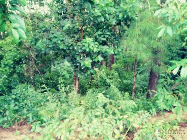 Terreno em Condomínio para Venda em Florianópolis/SC Vargem Pequena 1 Quartos