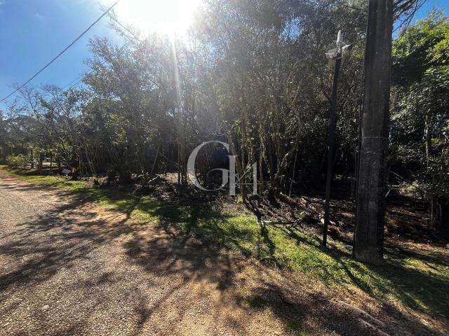 Terreno em Condomínio para Venda em Garopaba/SC Limpa