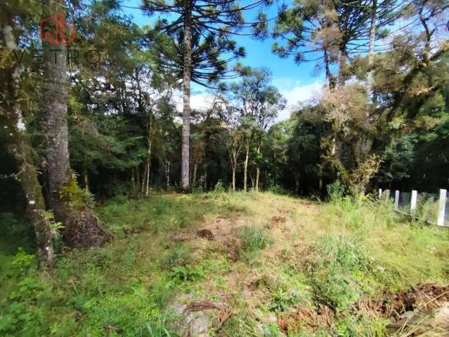 Terreno em Condomínio para Venda em Gramado/RS Carniel