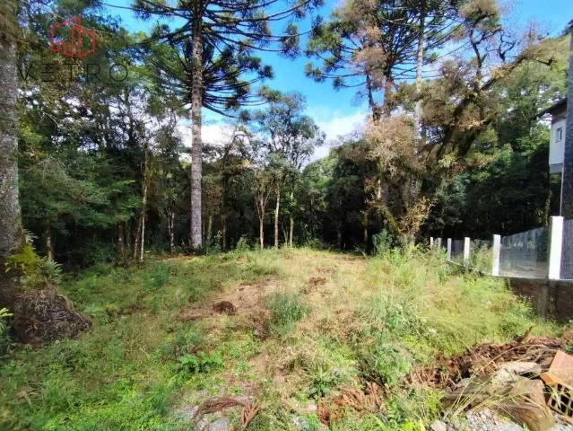 Terreno em Condomínio para Venda em Gramado/RS Carniel