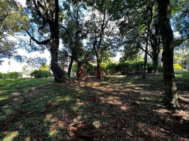 Terreno em Condomínio para Venda em Gramado/RS Centro