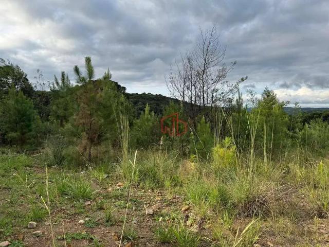 Terreno em Condomínio para Venda em Gramado/RS Dutra