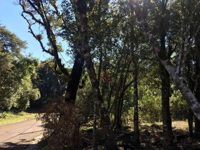 Terreno em Condomínio para Venda em Gramado/RS Floresta