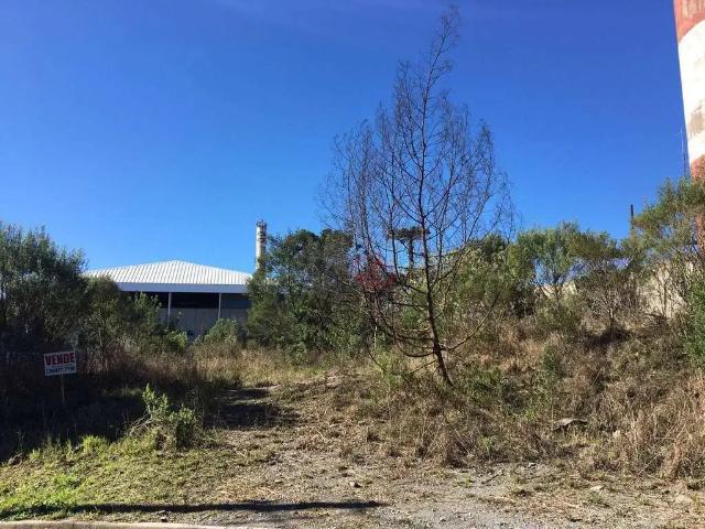 Terreno em Condomínio para Venda em Gramado/RS Floresta