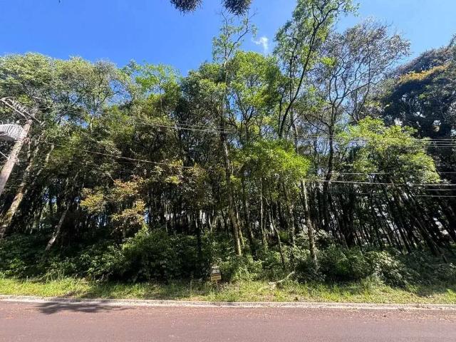 Terreno em Condomínio para Venda em Gramado/RS Floresta