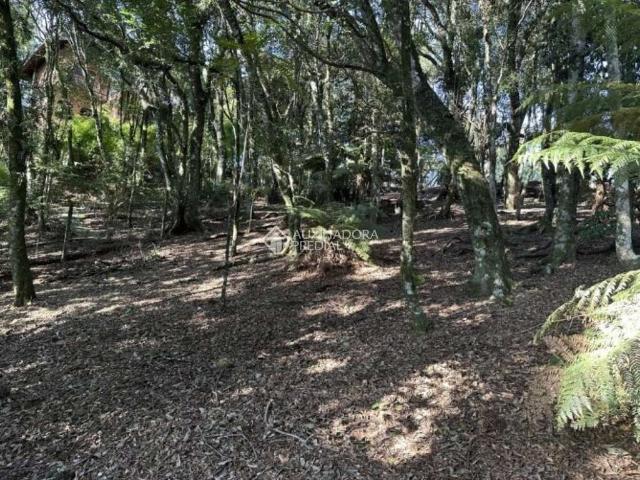 Terreno em Condomínio para Venda em Gramado/RS Lagos do Bosque