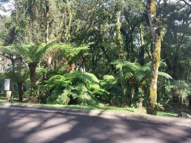 Terreno em Condomínio para Venda em Gramado/RS Mato Queimado