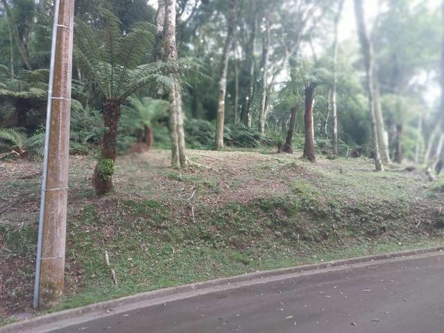 Terreno em Condomínio para Venda em Gramado/RS Mato Queimado