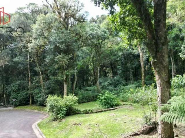 Terreno em Condomínio para Venda em Gramado/RS Mato Queimado
