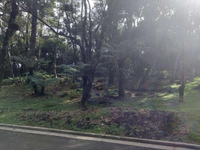 Terreno em Condomínio para Venda em Gramado/RS Mato Queimado