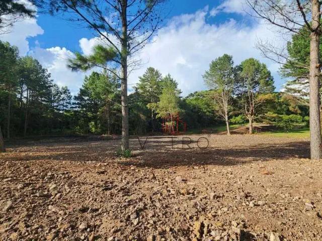 Terreno em Condomínio para Venda em Gramado/RS Mato Queimado