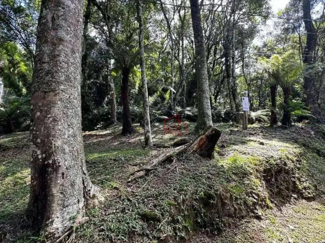 Terreno em Condomínio para Venda em Gramado/RS Mato Queimado