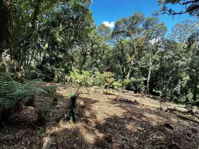 Terreno em Condomínio para Venda em Gramado/RS Mato Queimado