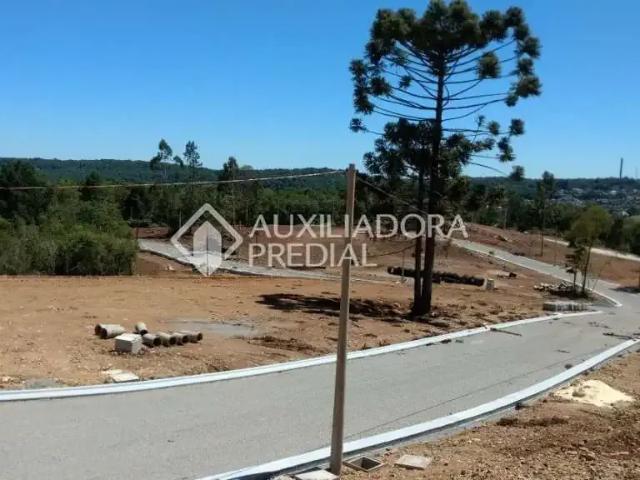 Terreno em Condomínio para Venda em Gramado/RS Pórtico