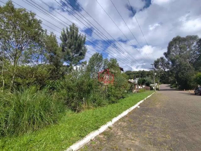 Terreno em Condomínio para Venda em Gramado/RS Vale das Colinas