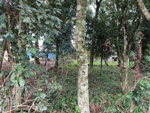 Terreno em Condomínio para Venda em Gramado/RS Várzea Grande 1º de Maio