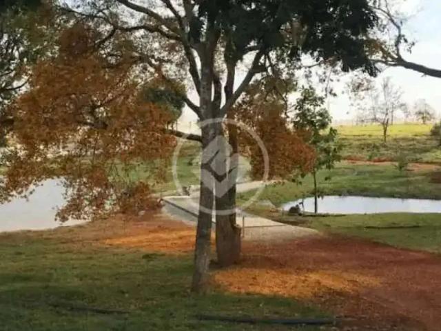 Terreno em Condomínio para Venda em Guapó/GO Centro