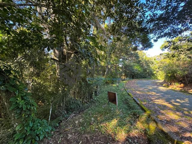 Terreno em Condomínio para Venda em Guarujá/SP Morro Sorocotuba