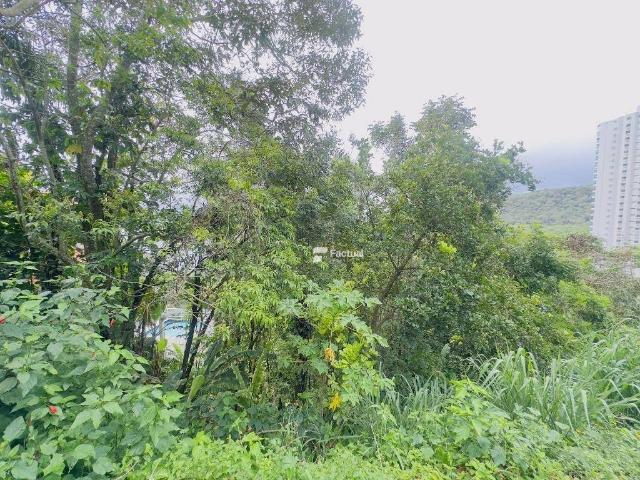 Terreno em Condomínio para Venda em Guarujá/SP Península