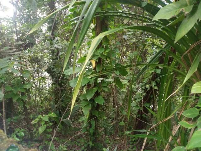 Terreno em Condomínio para Venda em Guarujá/SP Península