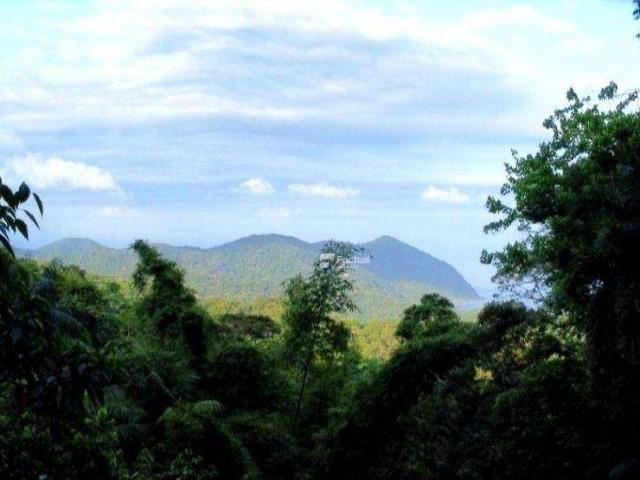Terreno em Condomínio para Venda em Guarujá/SP Tijucopava