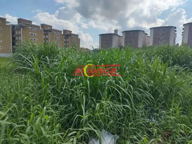 Terreno em Condomínio para Venda em Guarulhos/SP Jardim Silvestre