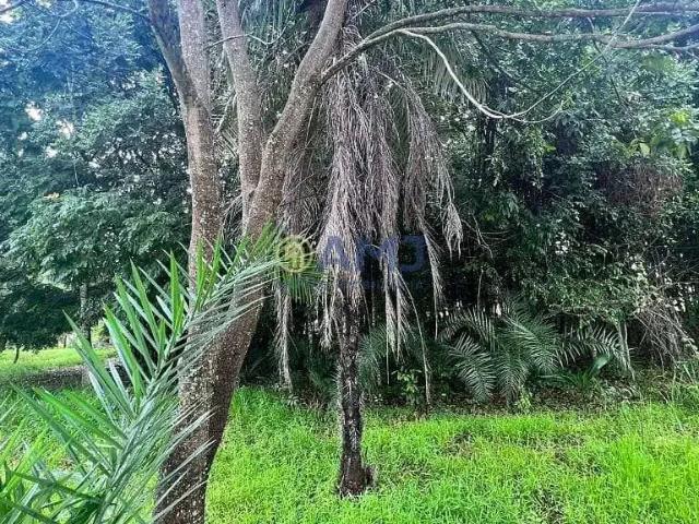 Terreno em Condomínio para Venda em Hidrolândia/GO Zona Rural