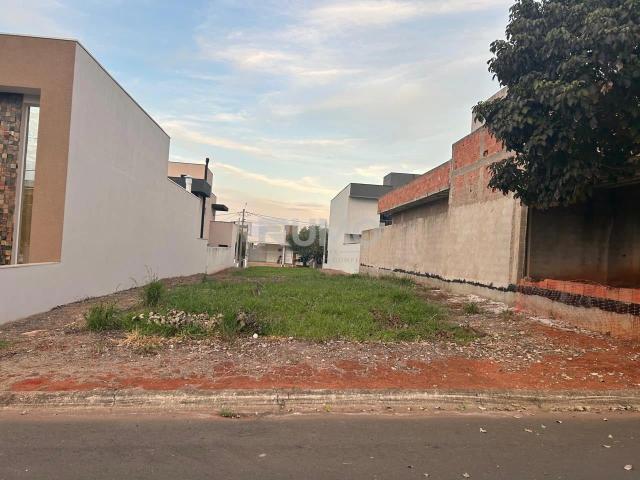 Terreno em Condomínio para Venda em Hortolândia/SP Parque Ortolândia