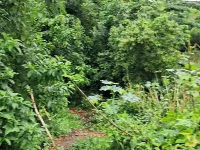 Terreno em Condomínio para Venda em Hortolândia/SP Vila Real Continuaçao