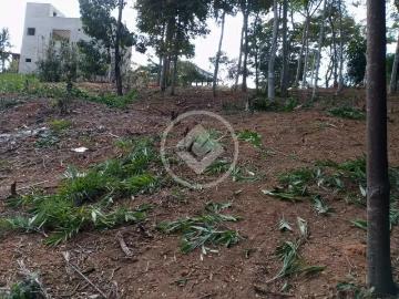 Terreno em Condomínio para Venda em Iapu/MG Cantos da mata