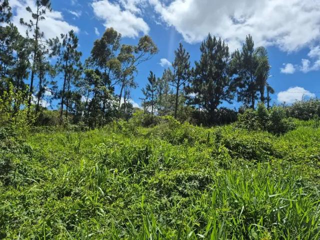 Terreno em Condomínio para Venda em Ibiúna/SP Verava