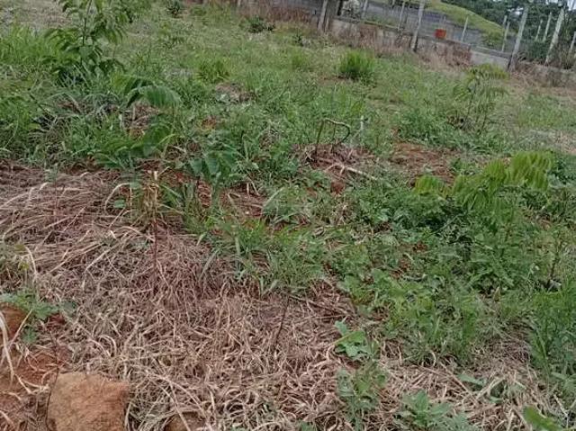 Terreno em Condomínio para Venda em Ibiúna/SP Parurú
