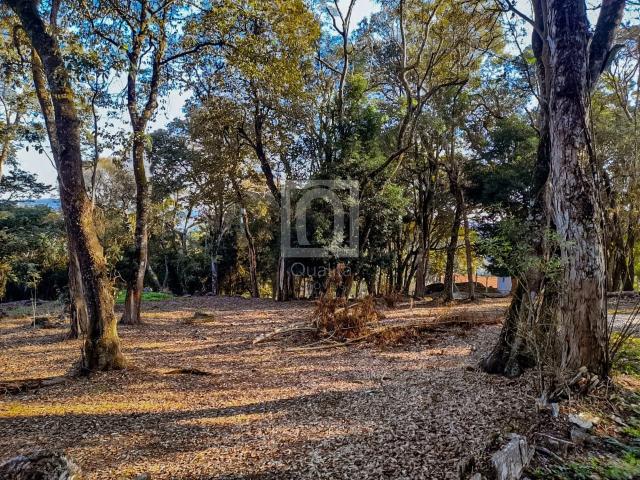 Terreno em Condomínio para Venda em Ibiúna/SP Ressaca