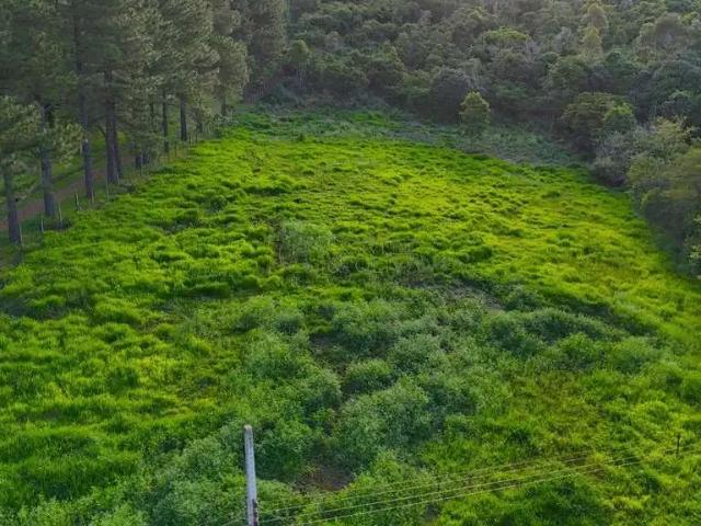 Terreno em Condomínio para Venda em Ibiporã/PR Chácaras Itaúna