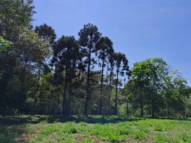Terreno em Condomínio para Venda em Ibiporã/PR Chácaras Itaúna